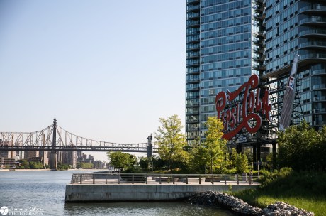 Nelson & Jenny's Surprise Proposal