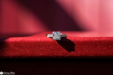 Nelson & Jenny's Surprise Proposal