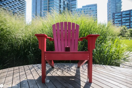 Nelson & Jenny's Surprise Proposal