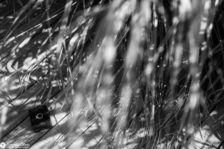 Nelson & Jenny's Surprise Proposal