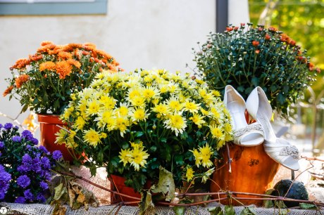 Lauren and Tommy-1.8