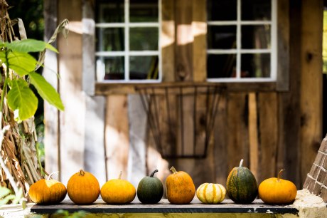 Lauren and Tommy-9.1