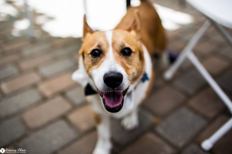 Lauren and Tommy-9.2