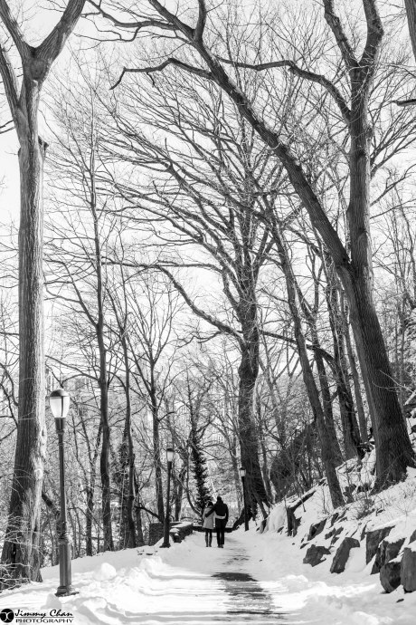 Annie & Ray's Engagement