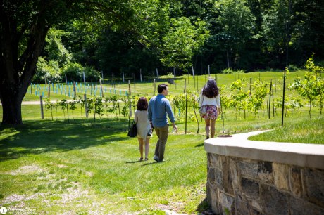 DIana and Phil surprise proposal