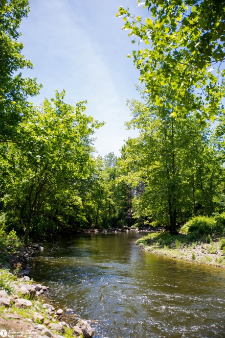 DIana and Phil surprise proposal