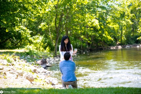 DIana and Phil surprise proposal