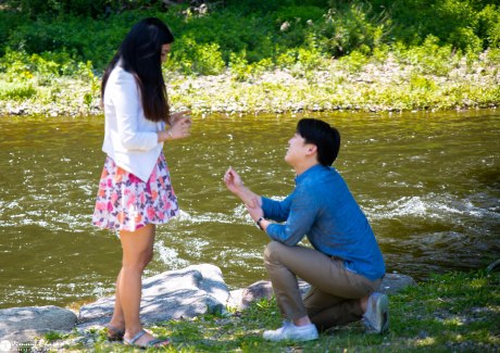 DIana and Phil surprise proposal