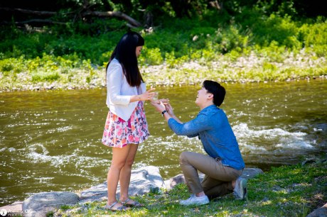 DIana and Phil surprise proposal