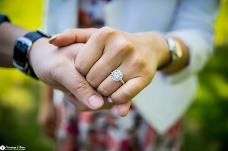 DIana and Phil surprise proposal