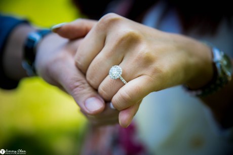 DIana and Phil surprise proposal