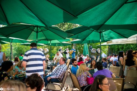 DIana and Phil surprise proposal